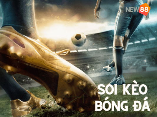 keo nha cai viet nam 2